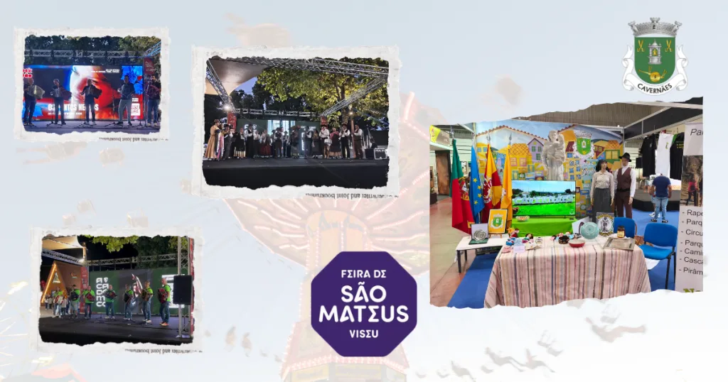 Participação na feira de são mateus